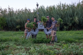 Sustaining the Future &mdash; Fulbright Greece&rsquo;s Commitment to Greening the Path